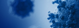 Respiratory Illness Season Respiratory Illness Season