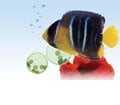 Unmatched Selection, Superior Quality Unmatched Selection, Superior Quality